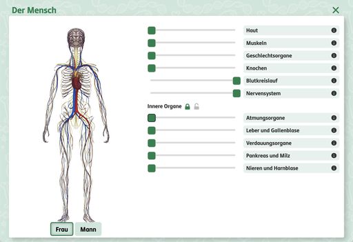 Screenshot einer SchuBu Abbildung zum Thema
"Mensch" im Fach Biologie.