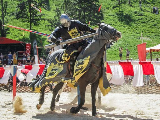 Vorschau Bild von Reitkunststücke hoch zu Ross, Tjosten