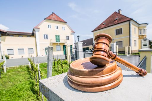 Vorschau Bild von Weingut Domäne Müller unter dem Hammer