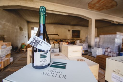 Vorschau Bild von Weingut Domäne Müller unter dem Hammer
