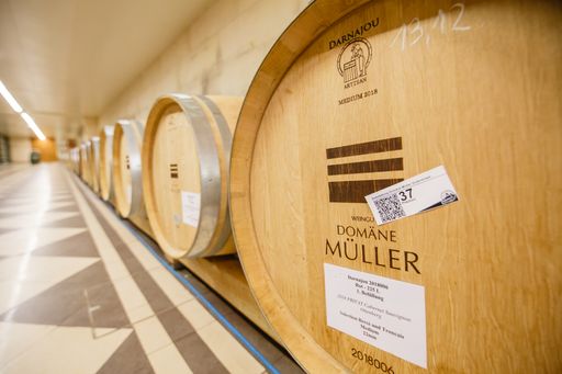 Vorschau Bild von Weingut Domäne Müller unter dem Hammer