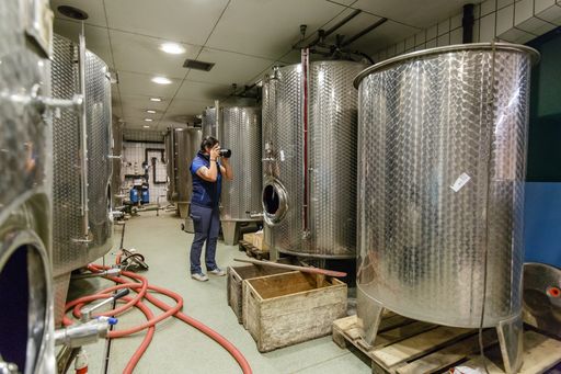 Vorschau Bild von Weingut Domäne Müller unter dem Hammer