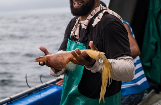 Blaue Lebensmittel: Tintenfisch-Fischer in Südafrika / Die
Verwendung dieses Bildes für redaktionelle Zwecke ist unter
Beachtung aller mitgeteilten Nutzungsbedingungen zulässig und dann
auch honorarfrei. Veröffentlichung ausschließlich mit
Bildrechte-Hinweis.