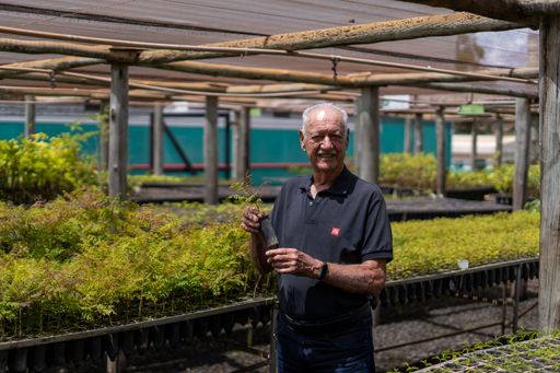 Nursery Monte Cerando Director General of
Experimental Agriculture
