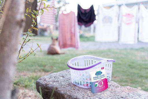 Close up of a clothespin basket in a garden surrounded by hanged
up clothes in a rope. Concept of laundry tasks at home / Die
Verwendung dieses Bildes für redaktionelle Zwecke ist unter
Beachtung aller mitgeteilten Nutzungsbedingungen zulässig und dann
auch honorarfrei. Veröffentlichung ausschließlich mit
Bildrechte-Hinweis.