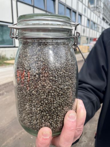 Vorschau Bild von Mittels Recyclingprozess wird hochwertiges Polystyrol-Granulat
gewonnen, das für neue EPS-Dämmstoffe eingesetzt werden kann. / Die
Verwendung dieses Bildes für redaktionelle Zwecke ist unter
Beachtung aller mitgeteilten Nutzungsbedingungen zulässig und dann
auch honorarfrei. Veröffentlichung ausschließlich mit
Bildrechte-Hinweis.