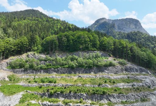 Vorschau Bild von Renaturierter Abbaubereich.