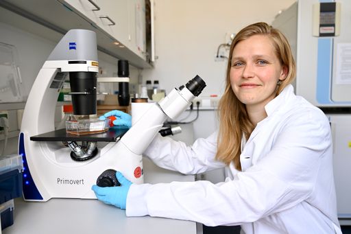 Vorschau Bild von „Wir hatten zu Beginn unserer Arbeit nur einen
Patienten und wussten daher nicht, welche Symptome im Zusammenhang
mit diesem Gendefekt stehen und welche nur zusätzliche
Begleiterscheinungen sind. Das war eine ziemliche Herausforderung“,
sagt Jana Block, MSc, Erstautorin einer neuen Studie im New England
Journal of Medicine und PhD Studentin in Univ.-Prof. Dr. Kaan
Boztugs Forschungsgruppe an der St. Anna Kinderkrebsforschung und am
CeMM