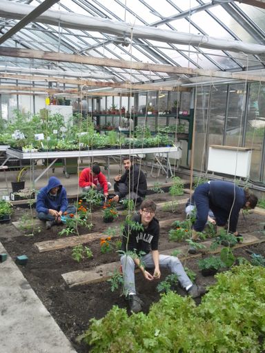 Vorschau Bild von Jugendliche von On the Job beim Praxistag
(Gartenarbeit)