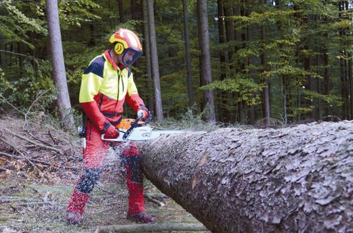 Ziel im AIT-Projekt FWSafeXR ist es, die Unfallrate
in der Forstarbeit durch virtuelles Training zu senken.