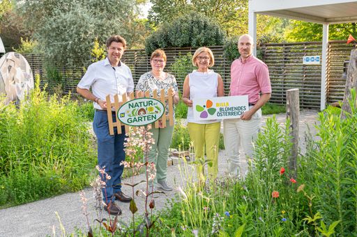 Matthias Wobornik und Christa Lackner
(Geschäftsführer „Natur im Garten“), Landeshauptfrau Johanna
Mikl-Leitner und Ronald Würflinger (Generalsekretär BILLA Stiftung
Blühendes Österreich) freuen sich auf die zukünftige Kooperation für
Schmetterlinge und Artenvielfalt in unseren Gärten und Grünräumen.