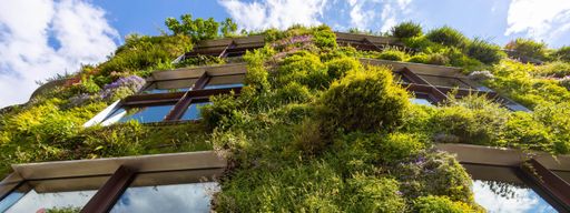 Vorschau Bild von Begrünte Fassaden kühlen urbane Hitzeinseln