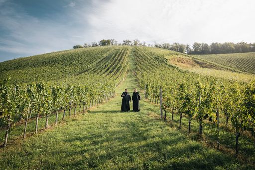 Vorschau Bild von Weingut Dveri PAX in Slowenien