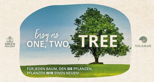 Vorschau Bild von Die Neutralisierung des CO2-Fußabdrucks ist eines
der Hauptziele der Nachhaltigkeitsstrategie von VALAMAR