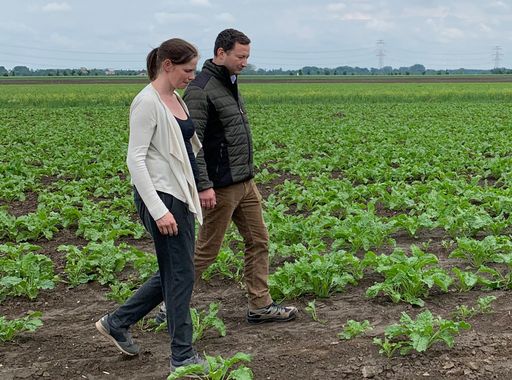 Mit Ernteausfällen und Schädlingsbefall werden die
Auswirkungen aktueller EU-Entscheidungen am Feld sichtbar.