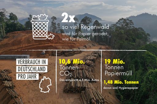 Infografik: Papierverbrauch in Deutschland / Die Verwendung
dieses Bildes für redaktionelle Zwecke ist unter Beachtung aller
mitgeteilten Nutzungsbedingungen zulässig und dann auch honorarfrei.
Veröffentlichung ausschließlich mit Bildrechte-Hinweis.