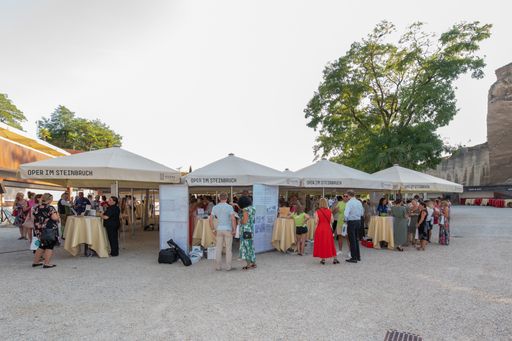 Vorschau Bild von RTK-Sommerfest im Steinbruch St. Margarethen: Reger
Austausch der Veranstaltungsprofis mit den Ausstellerinnen und
Ausstellern im Foyerpark der Oper im Steinbruch.