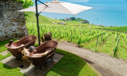 La Vigne - Swiss Wine Therapy
