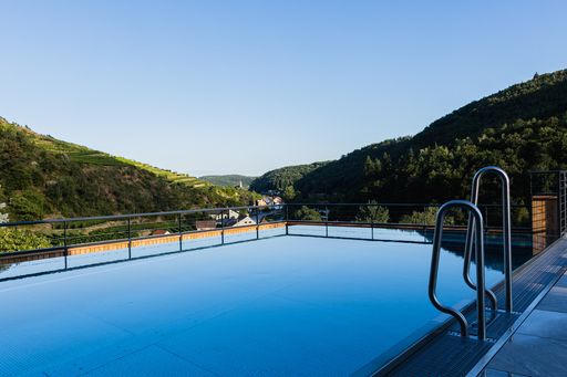 Vorschau Bild von Der Infinity Pool im Weinhotel Nigl