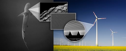Das AIT und seine Partner präsentieren optisches
Qualitätsmonitoring, um die Effizienz von Ribletoberflächen zu
ermitteln