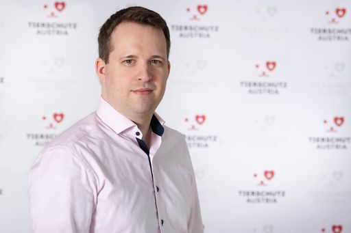 Vorschau Bild von Jonas von Einem, Sprecher Tierschutz Austria