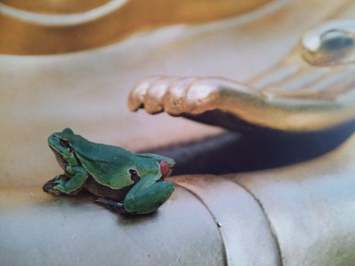 4.10.2023 Besondere Veranstaltung zum Welt-Tierschutz-Tag