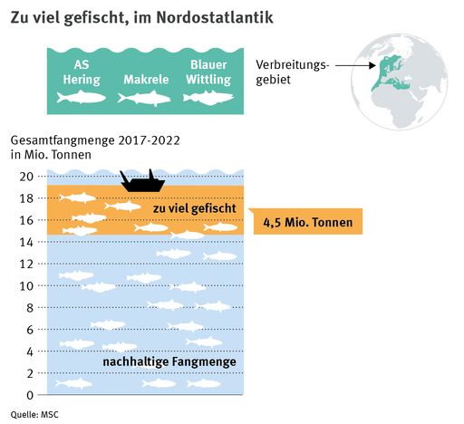 Fortlaufende Überfischung gefährdet die Gesundheit der Meere, die
Lebensgrundlagen der Menschen und die Wirtschaft. / Die Verwendung
dieses Bildes für redaktionelle Zwecke ist unter Beachtung aller
mitgeteilten Nutzungsbedingungen zulässig und dann auch honorarfrei.
Veröffentlichung ausschließlich mit Bildrechte-Hinweis.