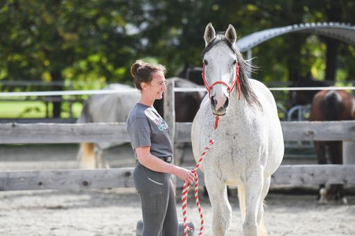 Vorschau Bild von Eine der vielen freiwilligen Helfer*innen mit Hengst Freude.