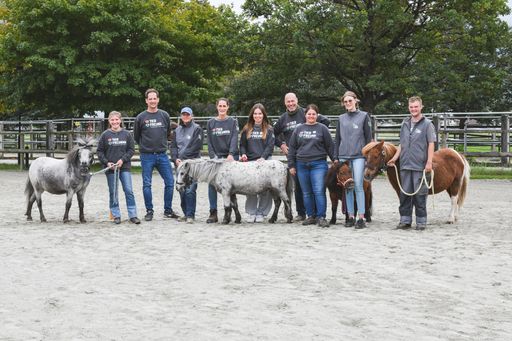  Das Team des österreichischen Tierschutzvereins mit Ponys.