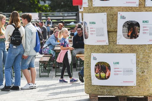 Vorschau Bild von Besucher am Gelände der Pferdeklappe Reutte