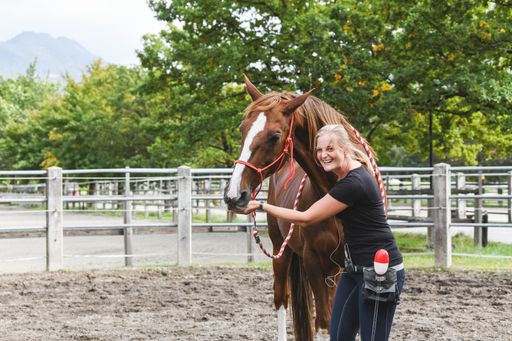Vorschau Bild von Eines der vom ÖTV betreuten Klappenpferde