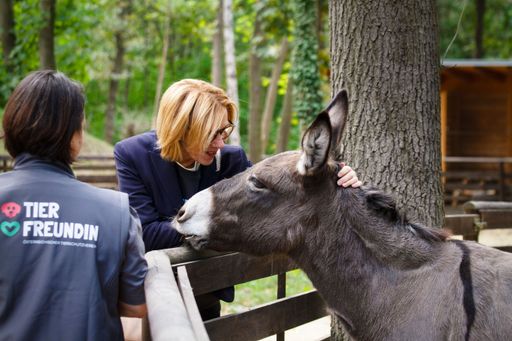  Bürgermeisterin Andrea Völkl mit Eseldame Mary
