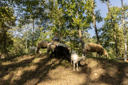 Vorschau Bild von Tierpflegeleiterin Stefanie Lang und einige ihrer Schützlinge