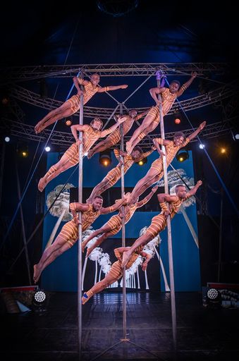 Vorschau Bild von Premiere Afrika!Afrika! Dornbirn 05.10.2023