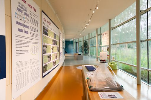 Vorschau Bild von Freier Eintritt im UnterWasserReich samt
Spezialführung beim "Erfolgsfest"