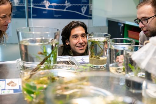 Vorschau Bild von Die Stiftung COMÚN lädt zum großen Fest