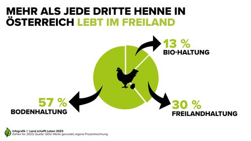Rund 57 % der österreichischen Legehennen leben in
Bodenhaltung, 30 % in Freiland- und 13 % in biologischer Haltung.