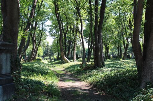 Waldfriedhof am Wiener Zentralfriedhof