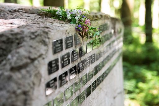 Vorschau Bild von Abbildung des Gedenksteins auf der Kastanienwiese mit Plaketten
von Verstorbenen
