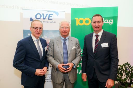 Starke Netze, intelligente Lösungen: Grüne Energie
für den Standort Österreich