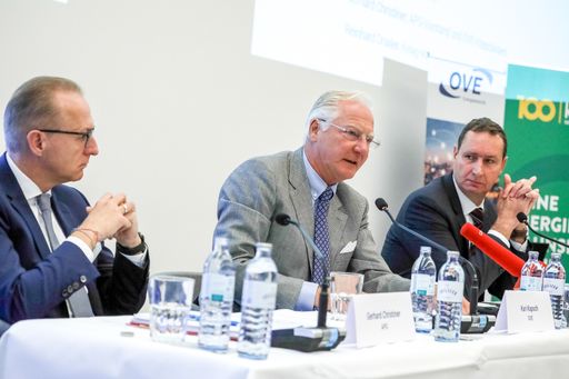 Vorschau Bild von Starke Netze, intelligente Lösungen: Grüne Energie
für den Standort Österreich