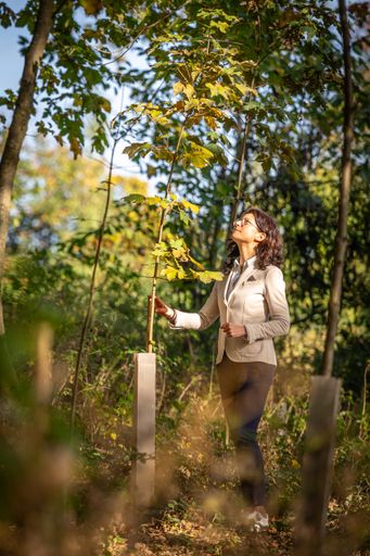Vorschau Bild von Dipl. BW. Karin Seewald - Geschäftsführerin paxnatura begutachtet
einen der neugepflanzten Bäume