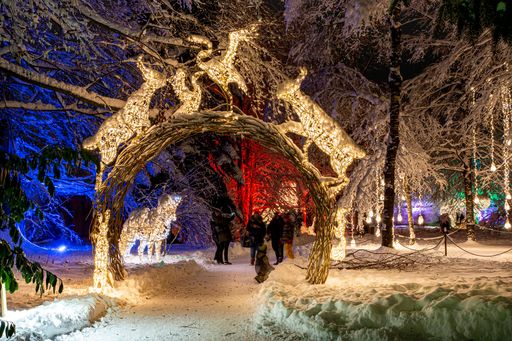 Am 17. November 2023 öffnet LUMAGICA REUTTE seine
Pforten. Tags darauf gehen auch in der Tiroler Landeshauptstadt die
Lichter von LUMAGICA INNSBRUCK wieder an.