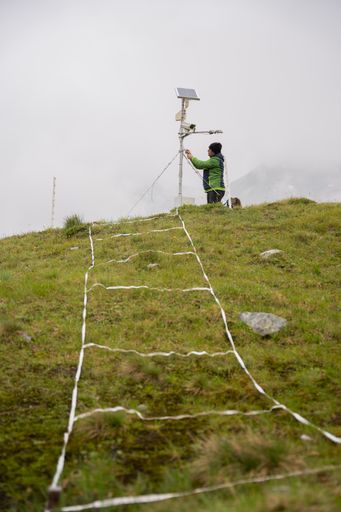 Vorschau Bild von Im Rahmen des Langzeitmonitorings werden an
ausgewählten Standorten regelmäßig Daten aus 8 Fachdisziplinen
erhoben. Unter anderem Boden- und Vegetationsproben sowie
Wetterdaten.
