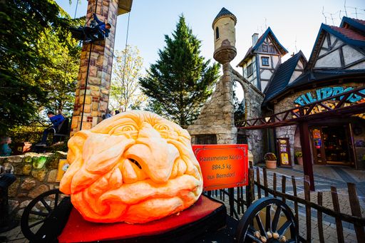  Staatsmeister-Kürbis mit 884,5 kg ausgestellt an
Halloween im Familypark, geschnitzt von Alex Neumayer