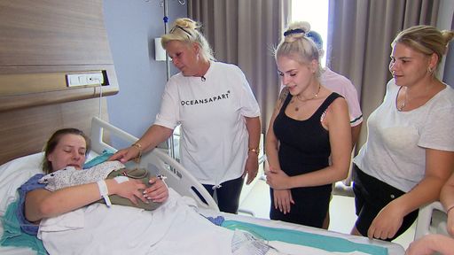 Das Baby von Sarafina und Peter ist da / Die Verwendung dieses
Bildes für redaktionelle Zwecke ist unter Beachtung aller
mitgeteilten Nutzungsbedingungen zulässig und dann auch honorarfrei.
Veröffentlichung ausschließlich mit Bildrechte-Hinweis.