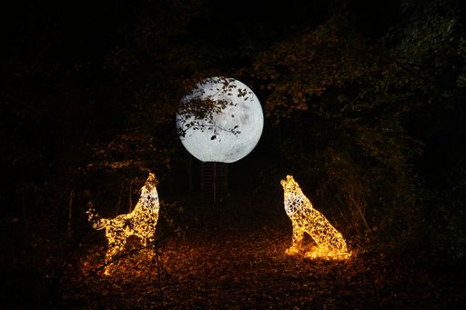 Vorschau Bild von Christmas Garden Schloss Grafenegg