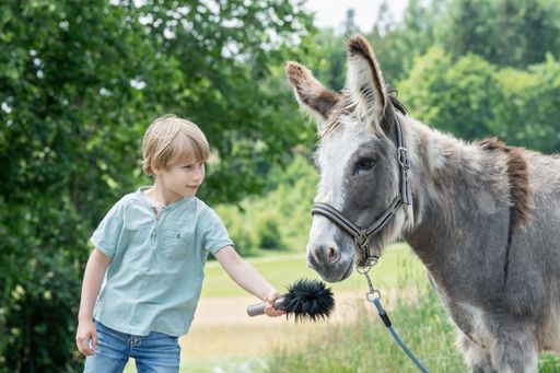  Bei der Kinder-Tierschutzkonferenz können Kinder am
Podium ihre Wünsche und Anliegen für den Tierschutz verkünden. Die
Konferenz findet im Juni 2024 in der Steiermark statt. Klassen der
Sekundarstufe 1 aus der Steiermark können mitmachen.