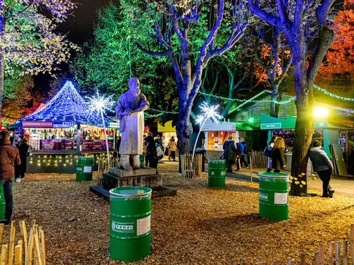Vorschau Bild von Fancy Village am Weihnachtsdorf im Campus der
Universität Wien