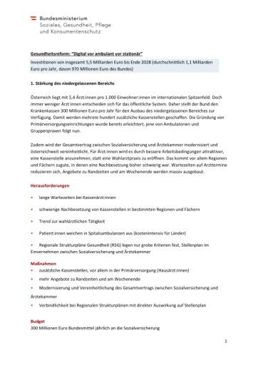 Vorschau Bild von PDF Gesundheitsreform